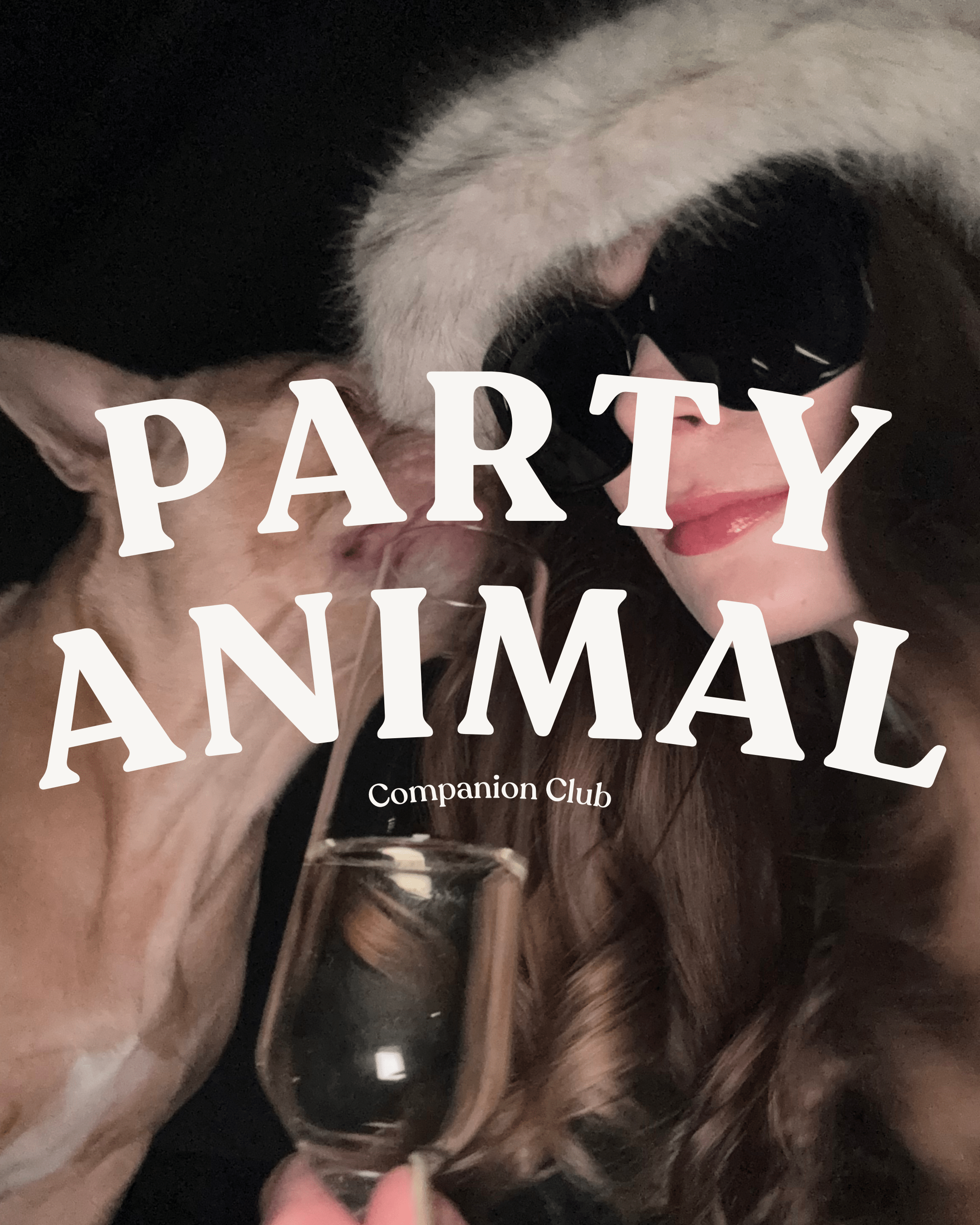 Party Animal Collection - Companion Club